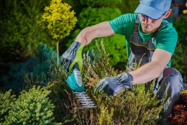 landscaping services Port Washington North